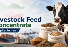 Livestock Feed Concentrate Supplier in Iran: Sourcing Animal Feed for Global Buyers