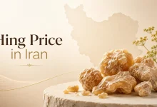 Hing Price in Iran: Iranian Asafoetida Prices, Grades and Export Guide