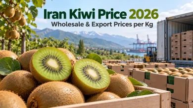 Iran Kiwi Price 2026: Wholesale & Export Prices per Kg Iran Kiwi Price 2026: Wholesale & Export Prices per Kg