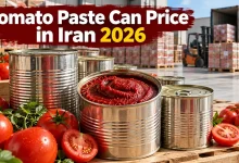 Tomato Paste Can Price in Iran 2026: Wholesale Prices by Can Size Tomato Paste Can Price in Iran 2026: Wholesale Prices by Can Size