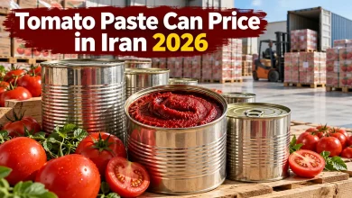 Tomato Paste Can Price in Iran 2026: Wholesale Prices by Can Size Tomato Paste Can Price in Iran 2026: Wholesale Prices by Can Size